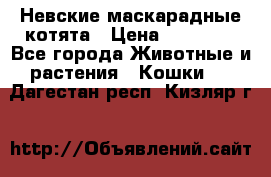 Невские маскарадные котята › Цена ­ 20 000 - Все города Животные и растения » Кошки   . Дагестан респ.,Кизляр г.